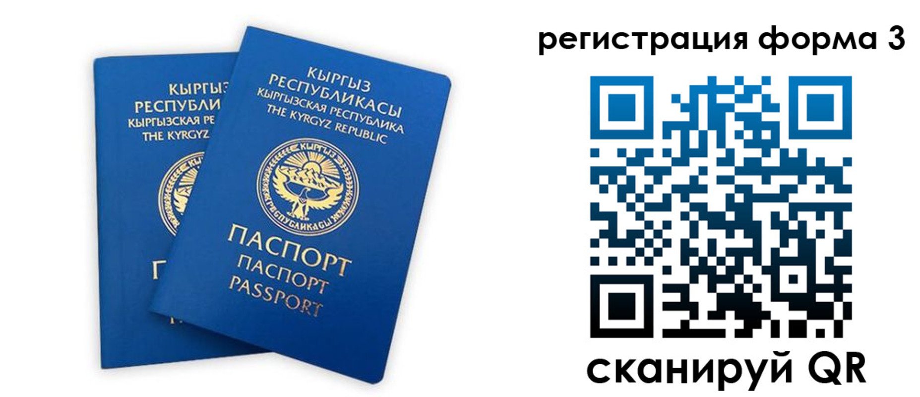временная регистрация госуслуги в Пласте